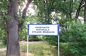 Rezervatia Stejarii Brumarii